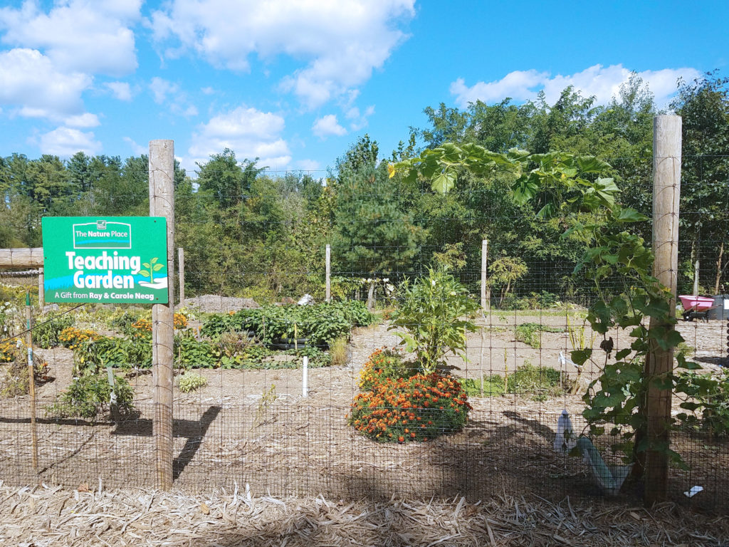 The Nature Place at Berks Nature