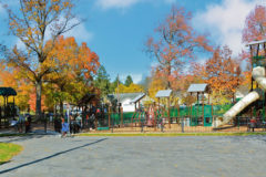 Dimmick Park Playground Barry Isett