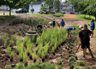 Gardening Barry Isett